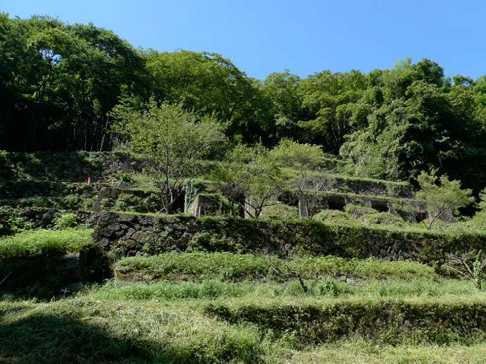 11.石見(jiàn)銀山遺址及文化景觀